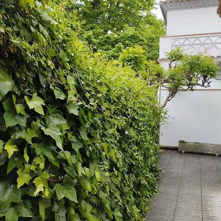 Casa Céntrica En * Girona