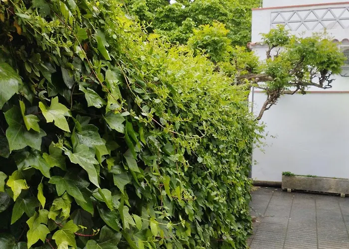 Casa Centrica En * Gerona