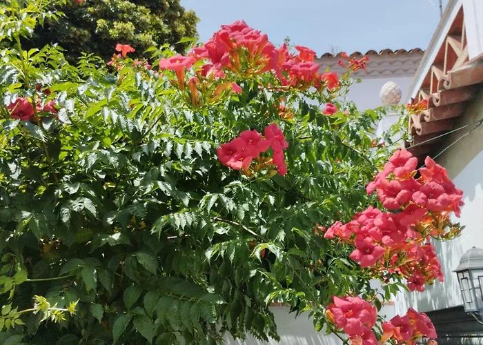 Vakantiehuis Casa Centrica En