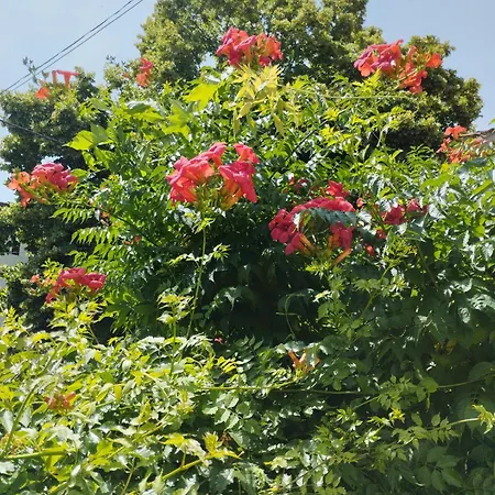 度假居 Casa Centrica En 赫罗纳