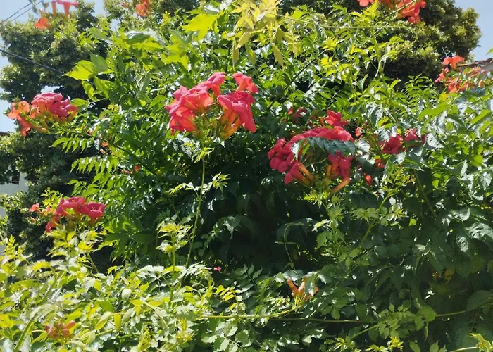 度假居 Casa Centrica En 赫罗纳